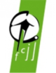 永林斯特 logo
