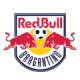 布拉干蒂诺女足 logo