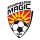 布罗德美度兰女足 logo
