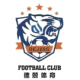 德兢艾捷斯 logo