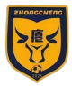 忠诚村足球队 logo