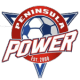 半岛电力女足 logo