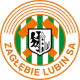 卢宾扎格勒比 logo