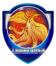 上海盛丽女足B队 logo