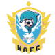 福建南安成功女足 logo