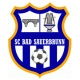 巴特绍埃尔布鲁恩 logo